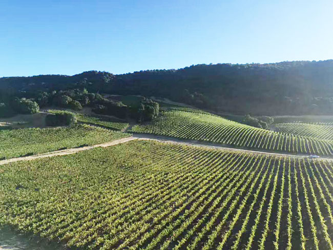 图片2.jpg 图片2.jpg