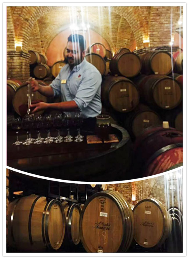 图片6_副本.jpg 图片6_副本.jpg