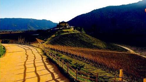 �̵㳤��˼�ľŴ󾭵����