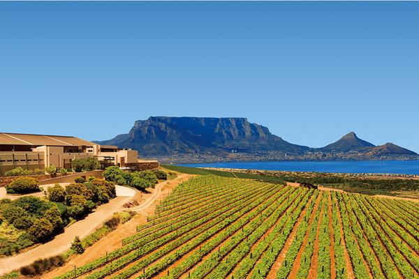 盘点长相思的九大经典产区 盘点长相思的九大经典产区