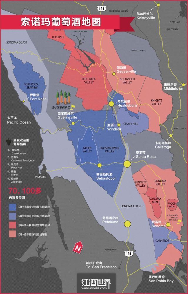 ������ŵ�����ѾƵ�ͼ