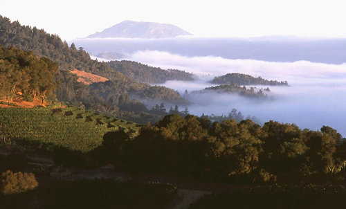 һ����ʶ��������ׯ