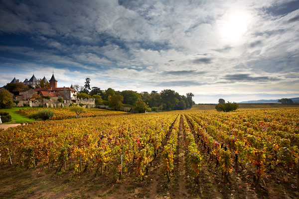 金丘以南,光环之外的勃艮第 金丘以南,光环之外的勃艮第