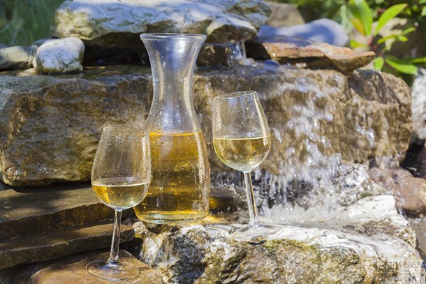 白葡萄酒,是白天鹅不是丑小鸭! 白葡萄酒,是白天鹅不是丑小鸭!