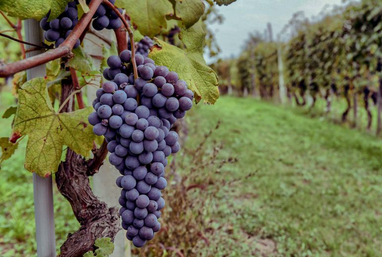 ÷�壬�������Ǵ�������