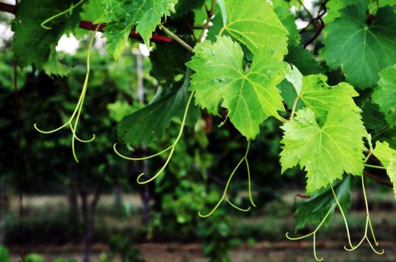 �����ٸ���λ����͹��ܼ��