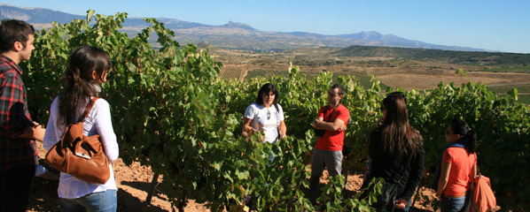 如何打造成功的葡萄酒旅游? 如何打造成功的葡萄酒旅游?