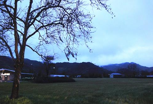 8498-1PR4154913.png 8498-1PR4154913.png