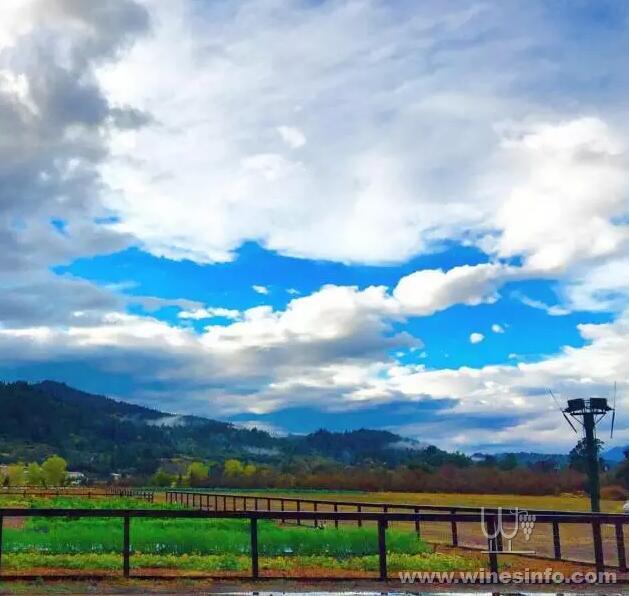 2017081417221494367.jpg 2017081417221494367.jpg