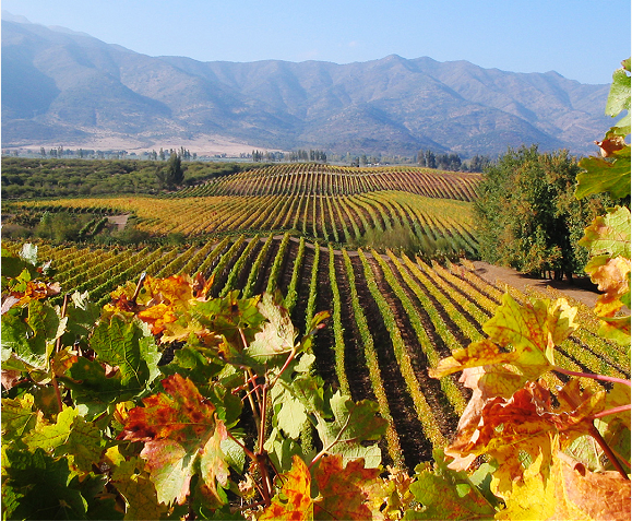 8498-1Z426143242.png 8498-1Z426143242.png